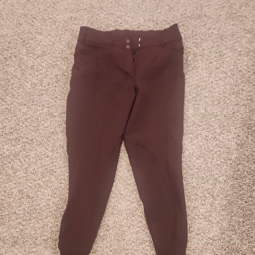 Ariat Pro Series Prelude Riding Breeches in Deep Brown 26R